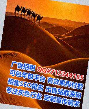 安龙生子财务咨询有限公司